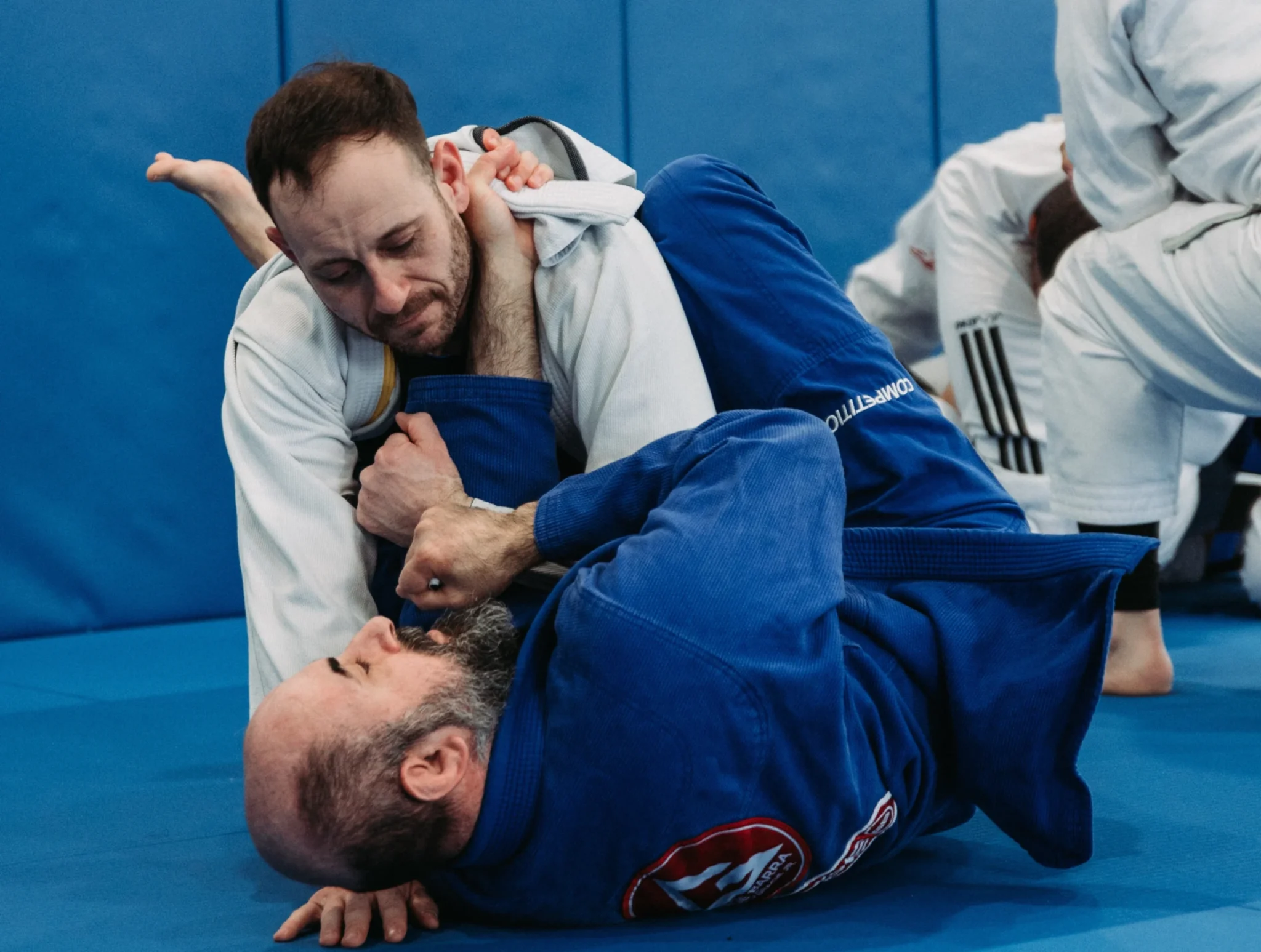 Discover BJJ Mental & Physical Benefits – GB Research Forest